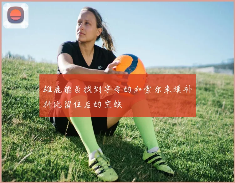 雄鹿能否找到字母的加索尔来填补科比留住后的空缺