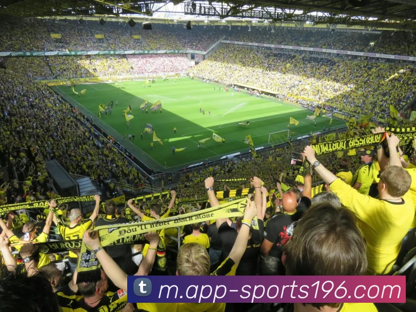 196体育APP 体育赛事宣传图