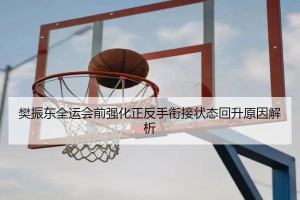 樊振东全运会前强化正反手衔接状态回升原因解析
